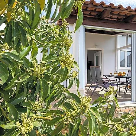 Avocado Dubrovnik