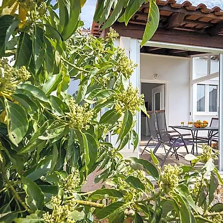 Avocado Hotel